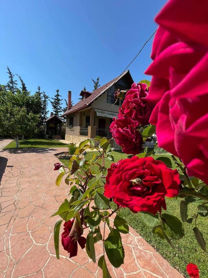 Villa Katerina Nea Kallikrateia Eksteriør billede